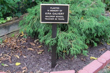Load image into Gallery viewer, Tree Adoption 10 Year Plaque
